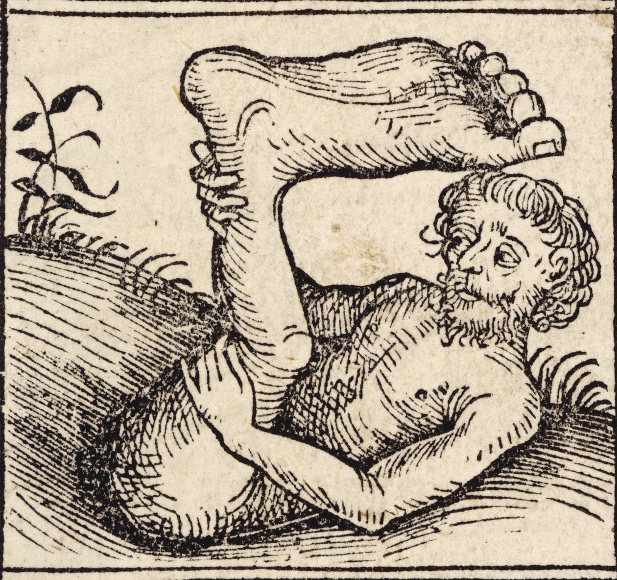 Sciopod, Człowiek z opuchniętą stopą, z „Registrum Hujus Operis Libri Cronicarum cum Figuri et Imagibus ab Inicio Mundi”, autorstwa Hartmanna Schedla (1440-1515) opublikowanego w Norymberdze autorstwa German School