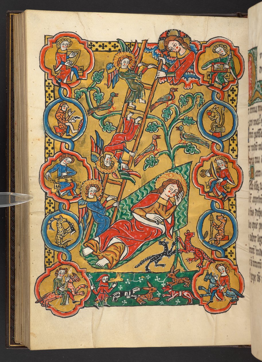 Dodać. 60629, f.87v Drabina Jakubowa, z drzewem życia i muzykami, zwierzętami, mężczyzną ogrzewającym stopy i sceną polowania (welum) autorstwa German School
