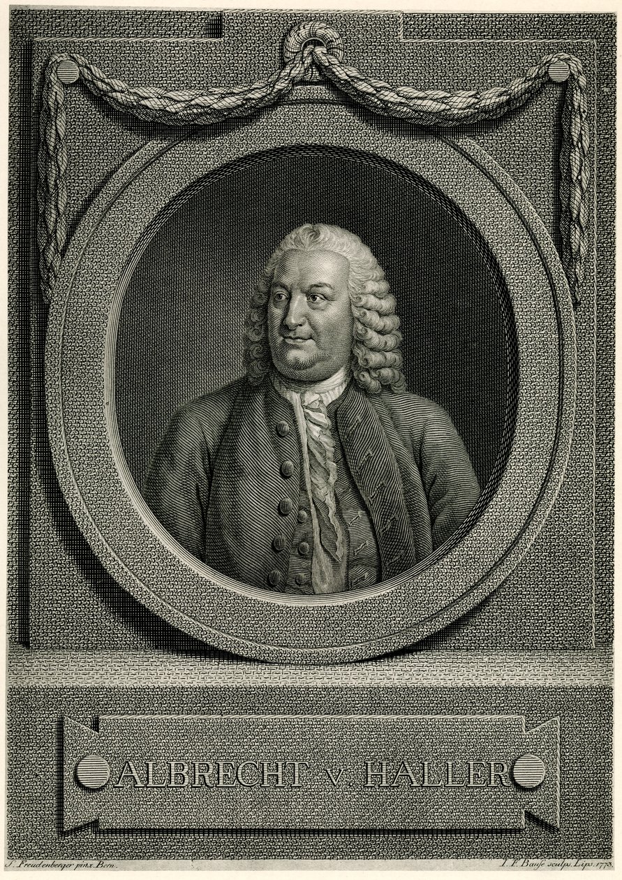 Albert von Haller autorstwa German School