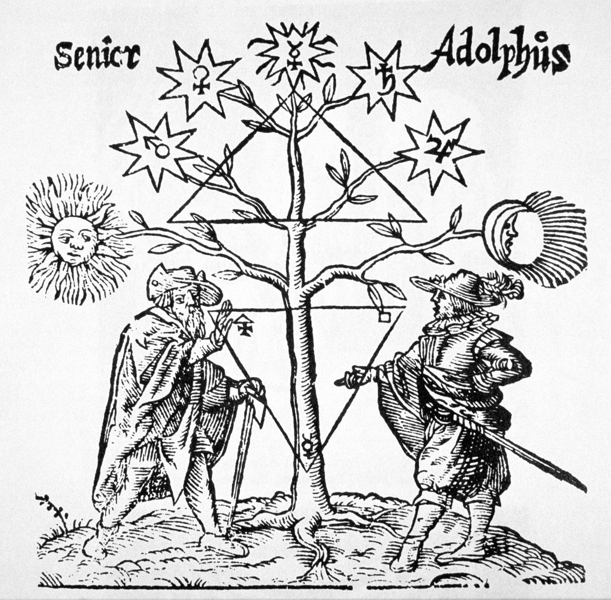 Drzewo alchemiczne, schematyczne i symboliczne, z Museum Hermeticum autorstwa Thomasa Nortona (1749) zilustrowane w historii magii opublikowanej pod koniec XIX wieku autorstwa German School