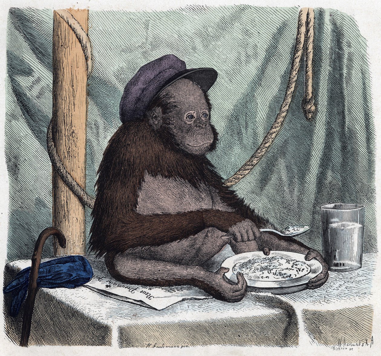Wykształcony orang outan (orangutan, orang outang, orangutan) zjada ryż łyżką. W „Kiedy ktoś podróżuje, oto co może opowiedzieć”, niemiecka opowieść Franza Wiedemanna autorstwa German School