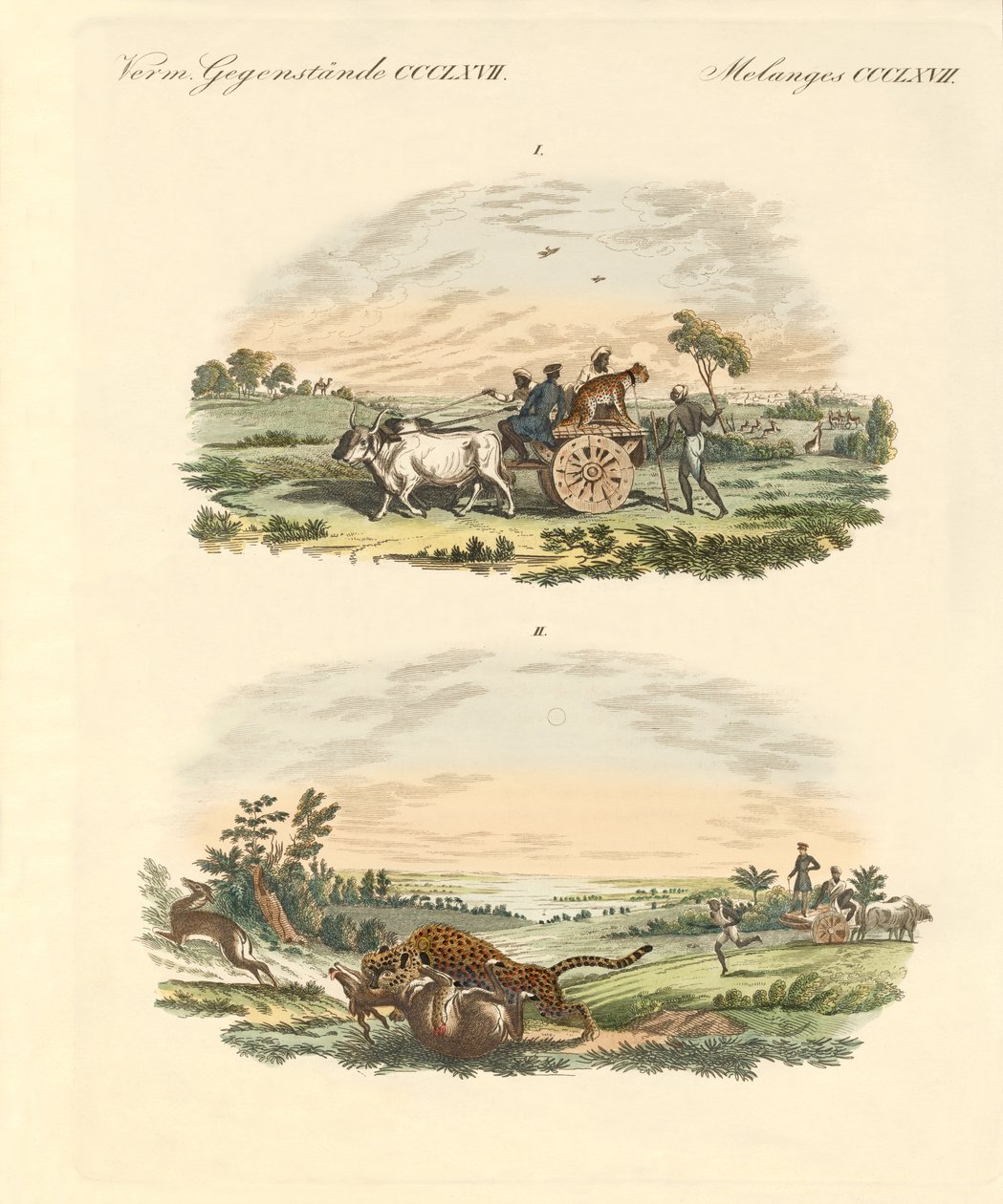 Polowanie na antylopy z lampartami (kolorowy grawerunek) autorstwa German School