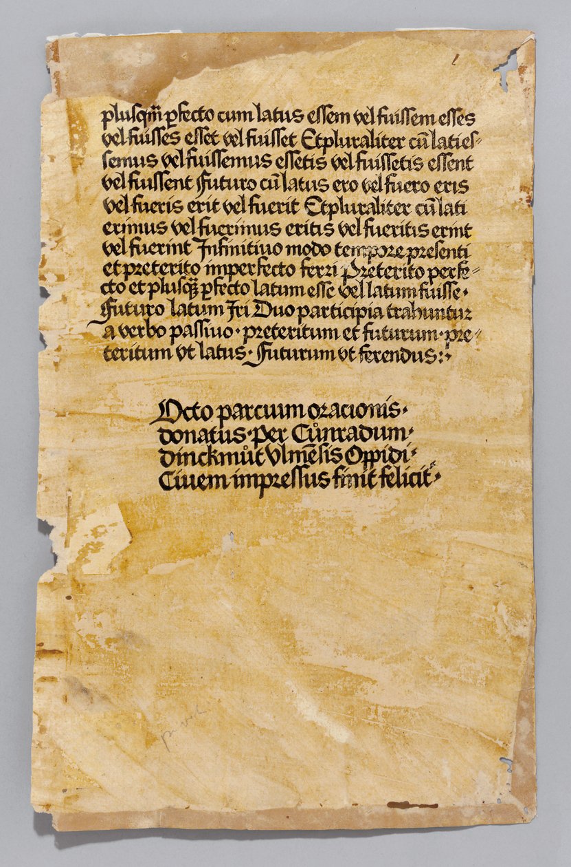 Ars Minor Aeliusa Donatusa, druk Konrad Dinckmut, Ulm, ok. 1476-80 (książka blokowa) autorstwa German School