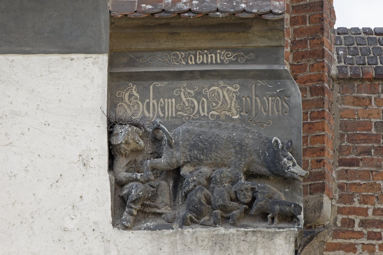 Rzeźba przedstawiająca Judensau, ok. 1440 (kamień) autorstwa German School