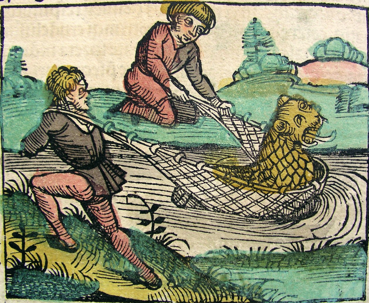 Łapanie lwa Kot rybny Potwór opublikowany w Kronice Norymberskiej, 1493 autorstwa German School