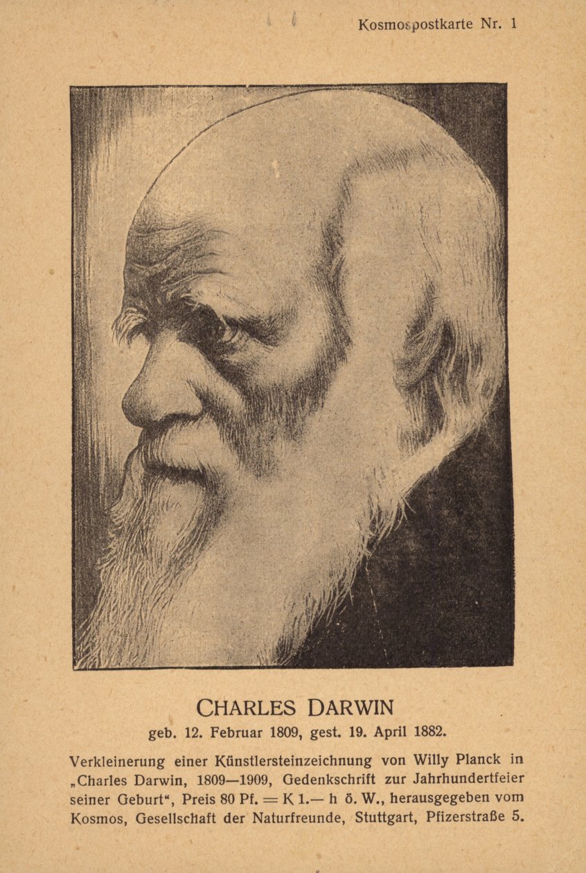 Karol Darwin (1809-1882), angielski przyrodnik (litografia) autorstwa German School