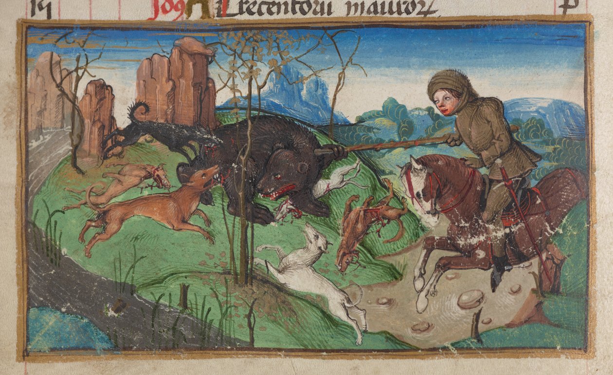 Fragment miniatury szlachcica zajmującego się polowaniem na niedźwiedzie, ze strony kalendarza na październik, ok. 1900 r. 1475-1485 autorstwa German School