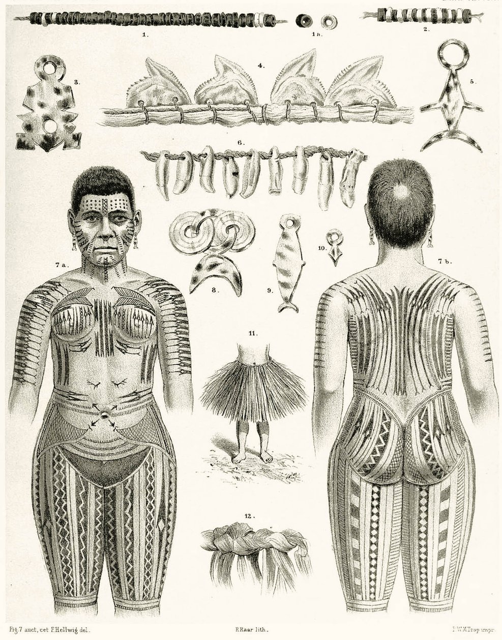 Diagram przedstawiający polinezyjską biżuterię, ozdoby i wzory tatuaży, 1888 r autorstwa German School