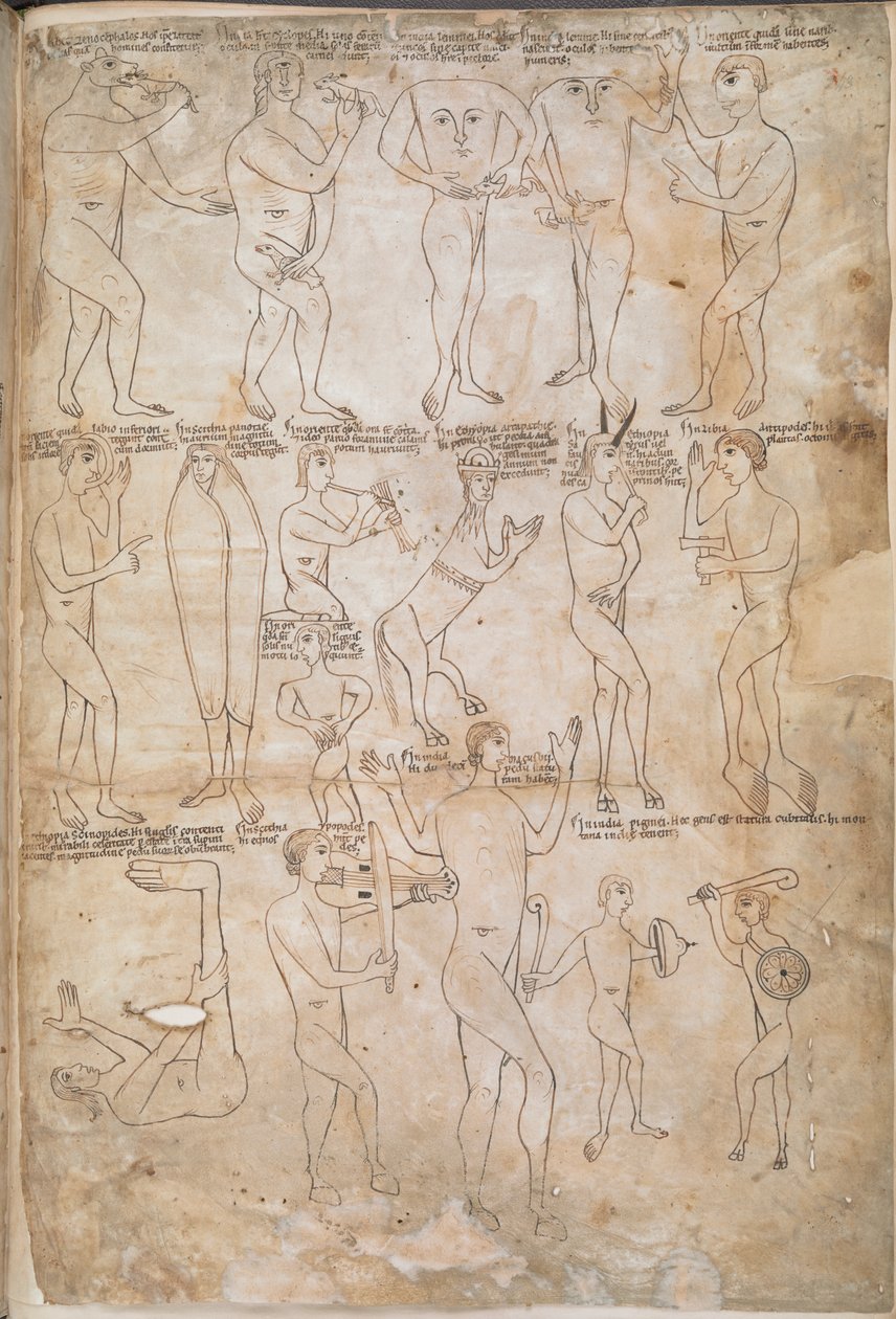 Rysunki siedemnastu potwornych ras, w tym gigantów, pigmejów, blemmyae i donestre, ilustracja z „Biblii Arnsteina” autorstwa German School