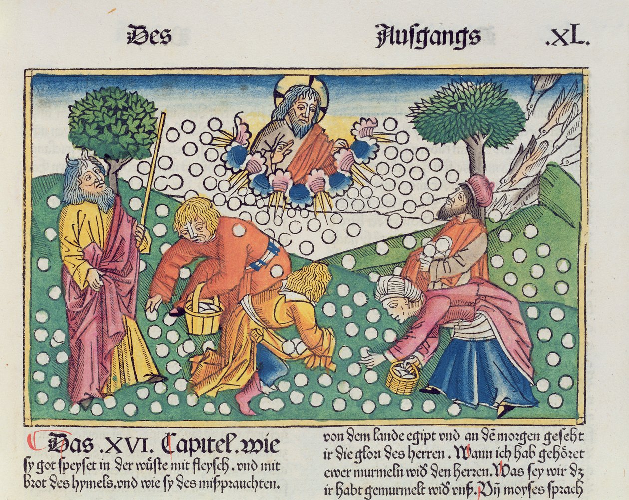 Wyjścia 16 13-22 Bóg dostarcza Izraelitom przepiórki i mannę z Biblii Norymberskiej (Biblia Sacra Germanaica) (kolorowy drzeworyt) autorstwa German School