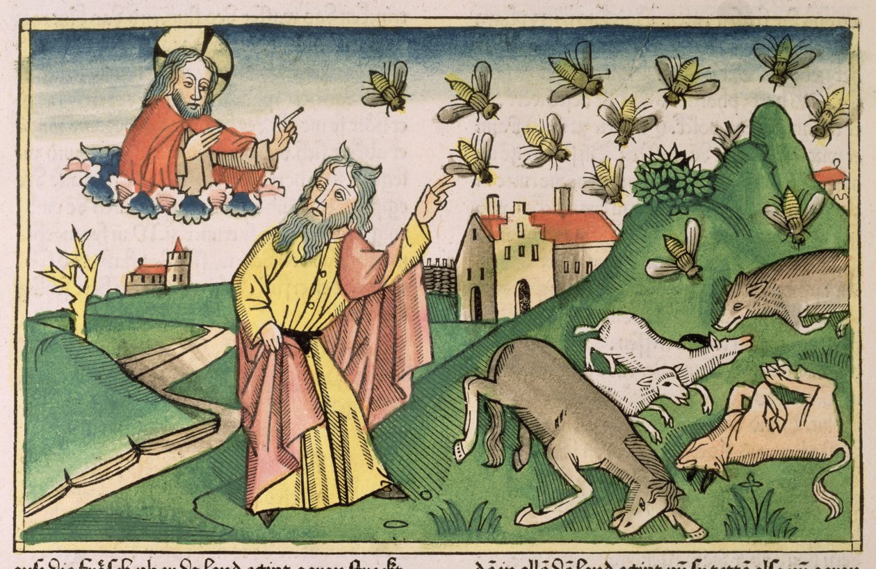 Wyjścia 8 20-32 Siedem plag egipskich: Mojżesz i rój much, z „Biblii Norymberskiej (Biblia Sacra Germanaica)” (drzeworyt kolorowy) autorstwa German School