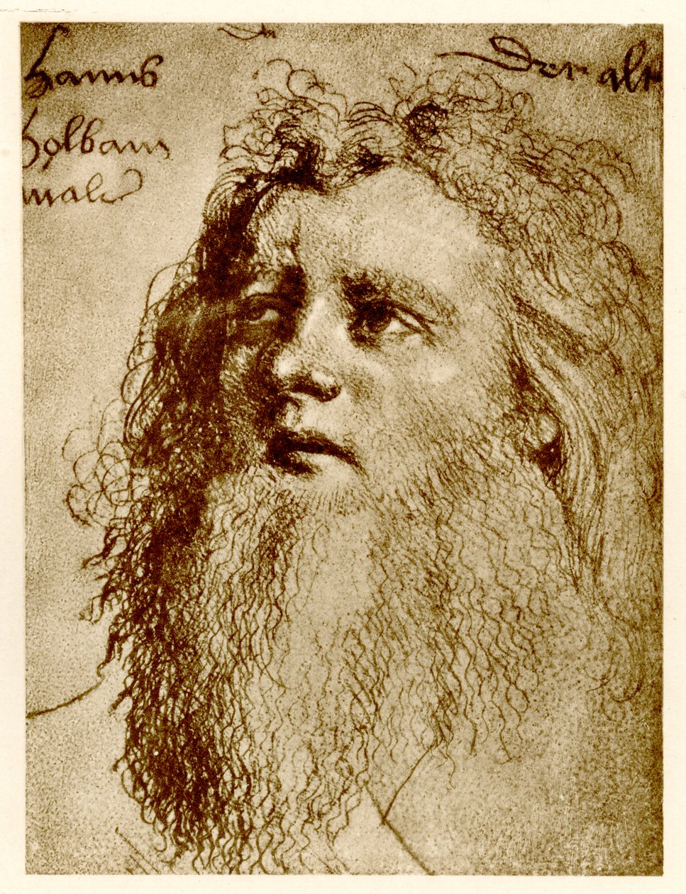 Hans Holbein Starszy, 1884-90 (fototypia) autorstwa German School