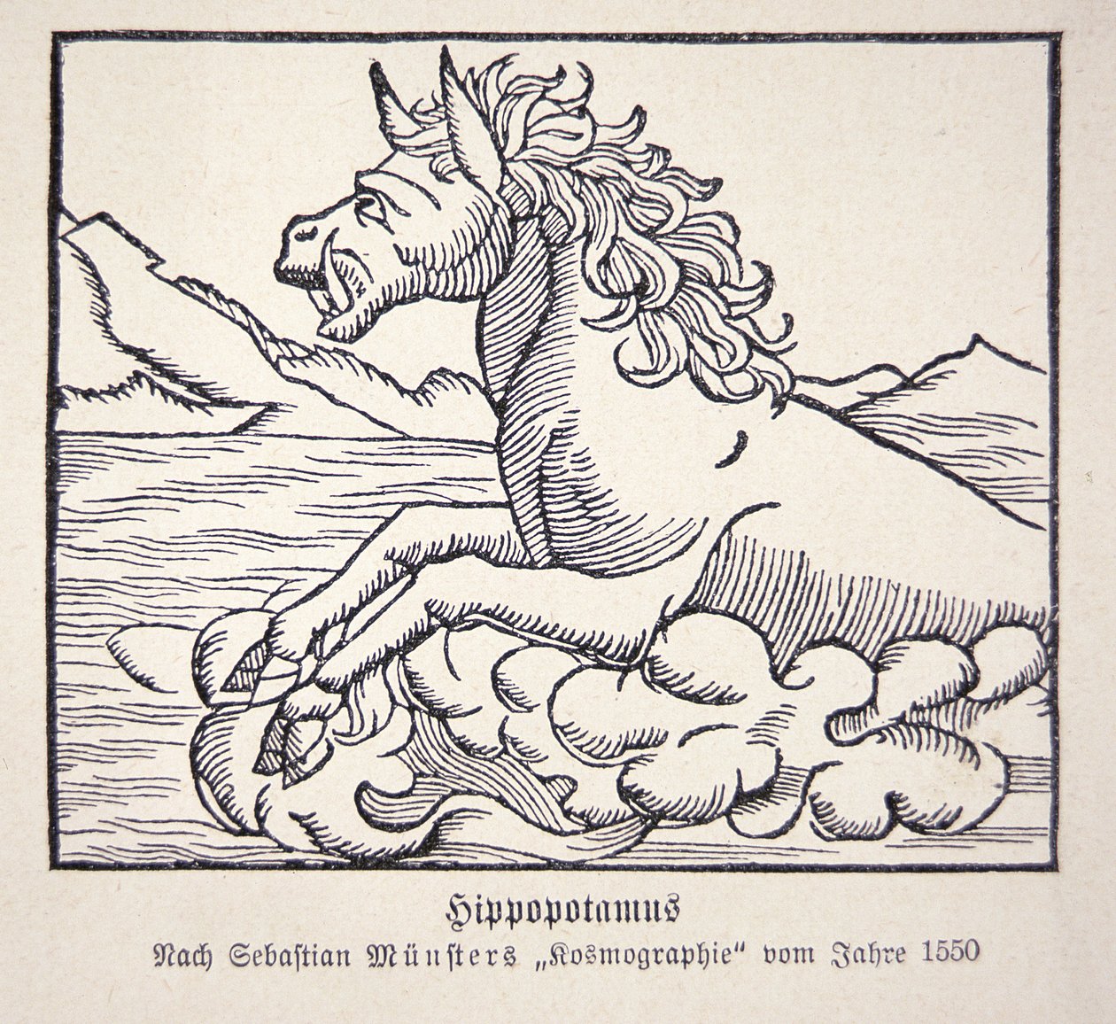 Hipopotam z „Cosmographie Universalis” Sebastiena Munstera autorstwa German School