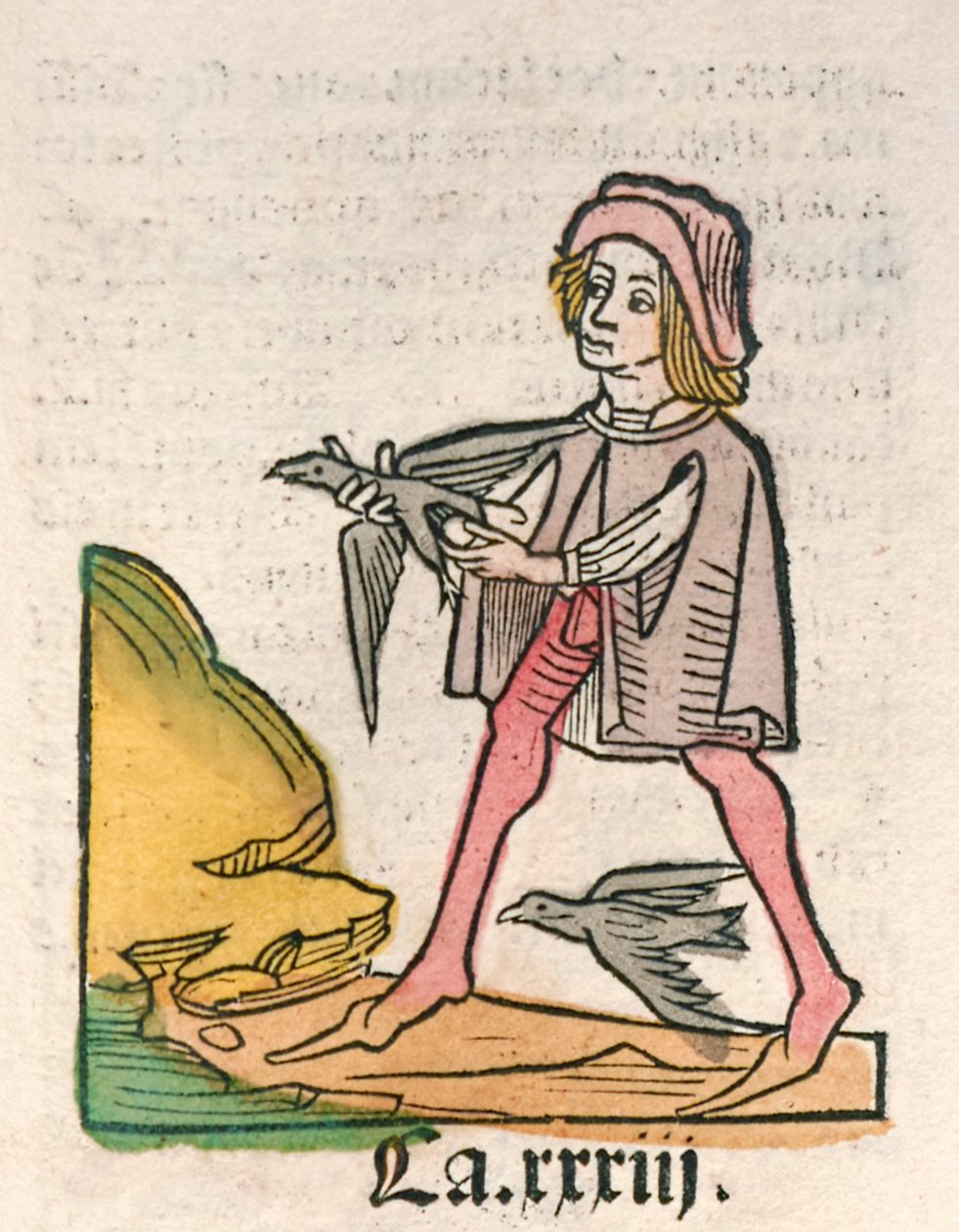 Hortus Sanitatis [Ogród Zdrowia] Jacoba Meydenbacha opublikowany w 1491 r. (drzewryt) autorstwa German School