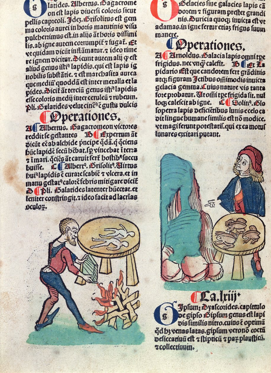 Ilustrowana strona z Hortus Sanitatis, 1491 (kolorowy drzeworyt) autorstwa German School