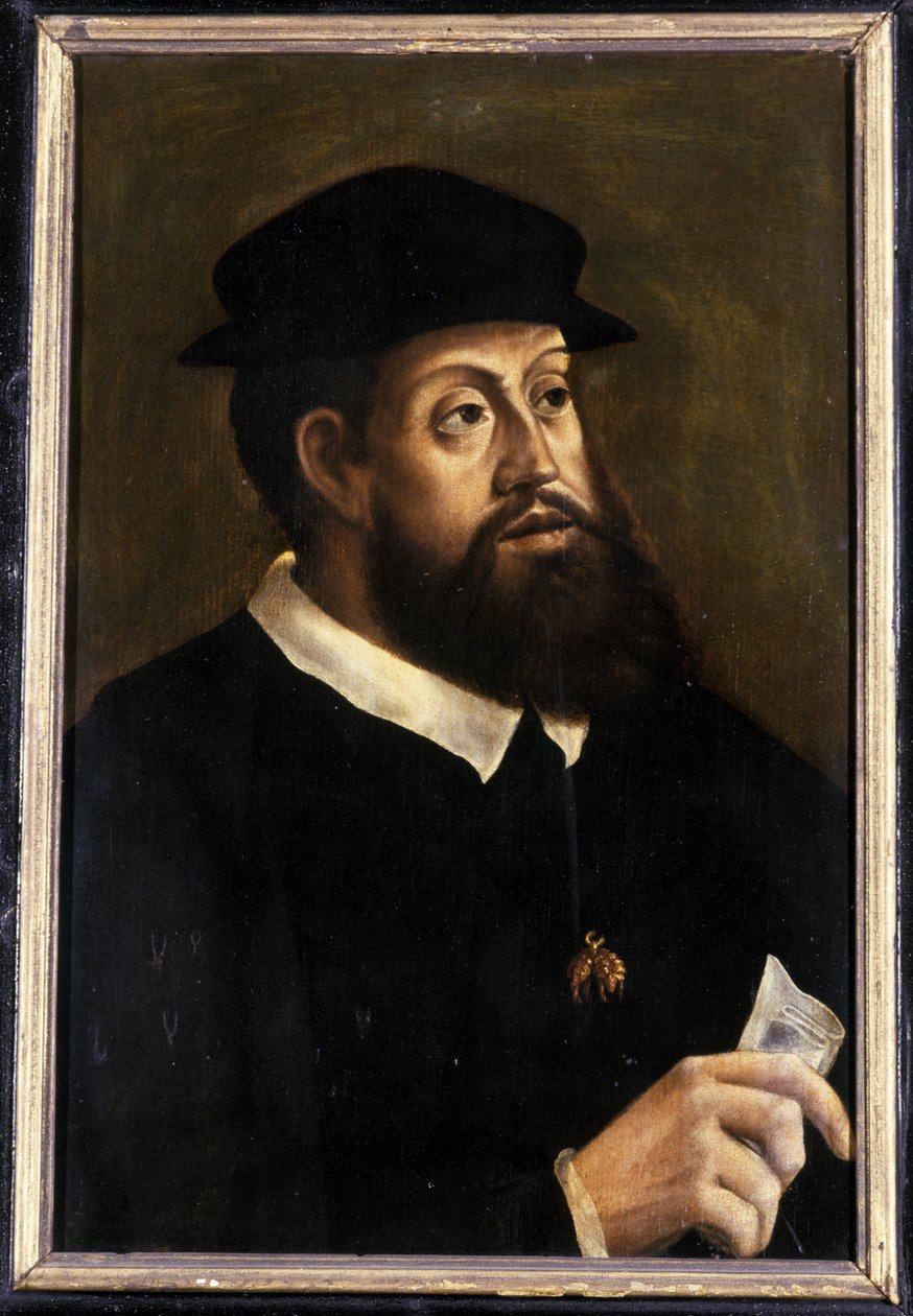 Król Karol V, 1501-1600 autorstwa German School