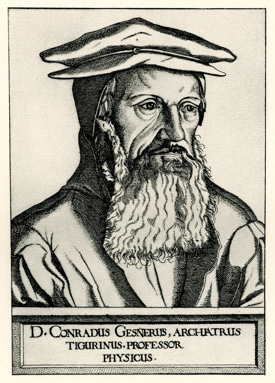 Konrad Gesner autorstwa German School