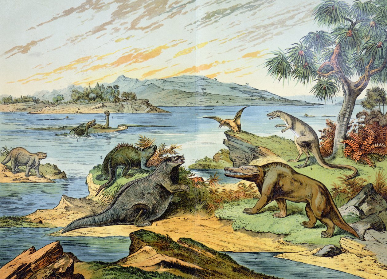 Krajobraz przedstawiający okres kredowy (od 146 do 65 milionów lat temu) ilustracja z Historii Naturalnej Mineralogii i Paleontologii autorstwa G.H. von Schuberta, 1888 r. autorstwa German School
