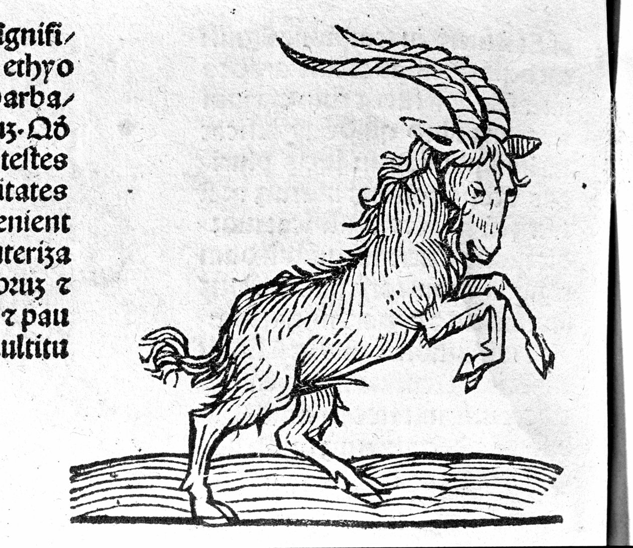 Le Capricorn - w Traktacie Jana Anioła o wielkich związkach lat i ich obrotach. Augsburg, Erhard Ratdolt autorstwa German School