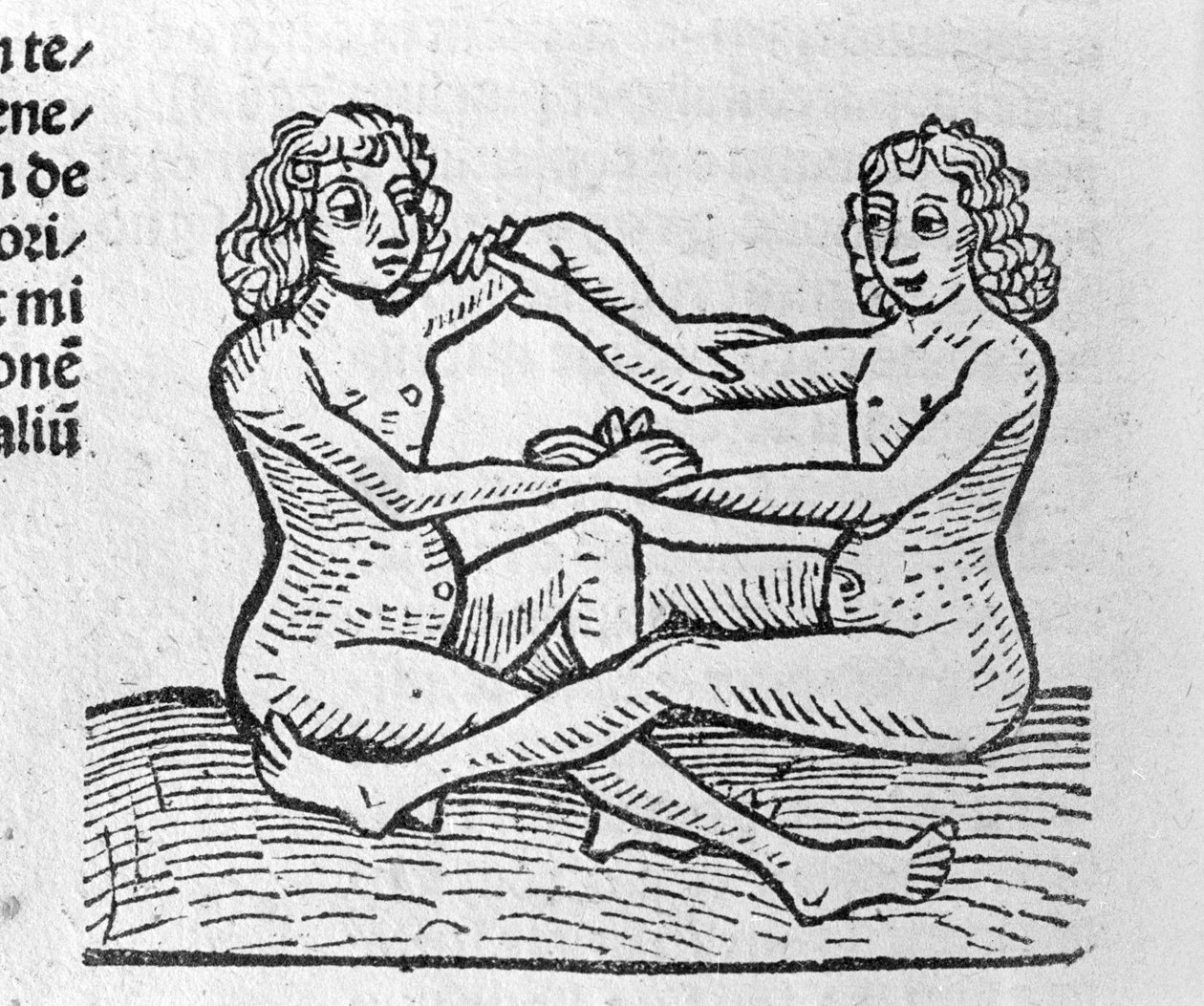 Les Gemini - w Traité de Johannes Angelo O wielkich związkach lat i ich obrotach. Augsburg, Erhard Ratdolt autorstwa German School