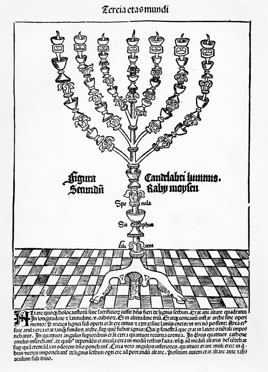 Menora, z Liber Chronicarum Hartmanna Schedla, wydana w Norymberdze, 1493 autorstwa German School