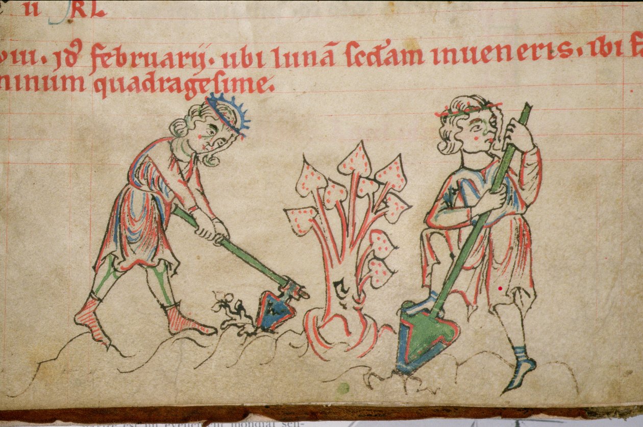 Ms 54 f.37 luty: Motyka, Psałterz cysterski (welin) autorstwa German School