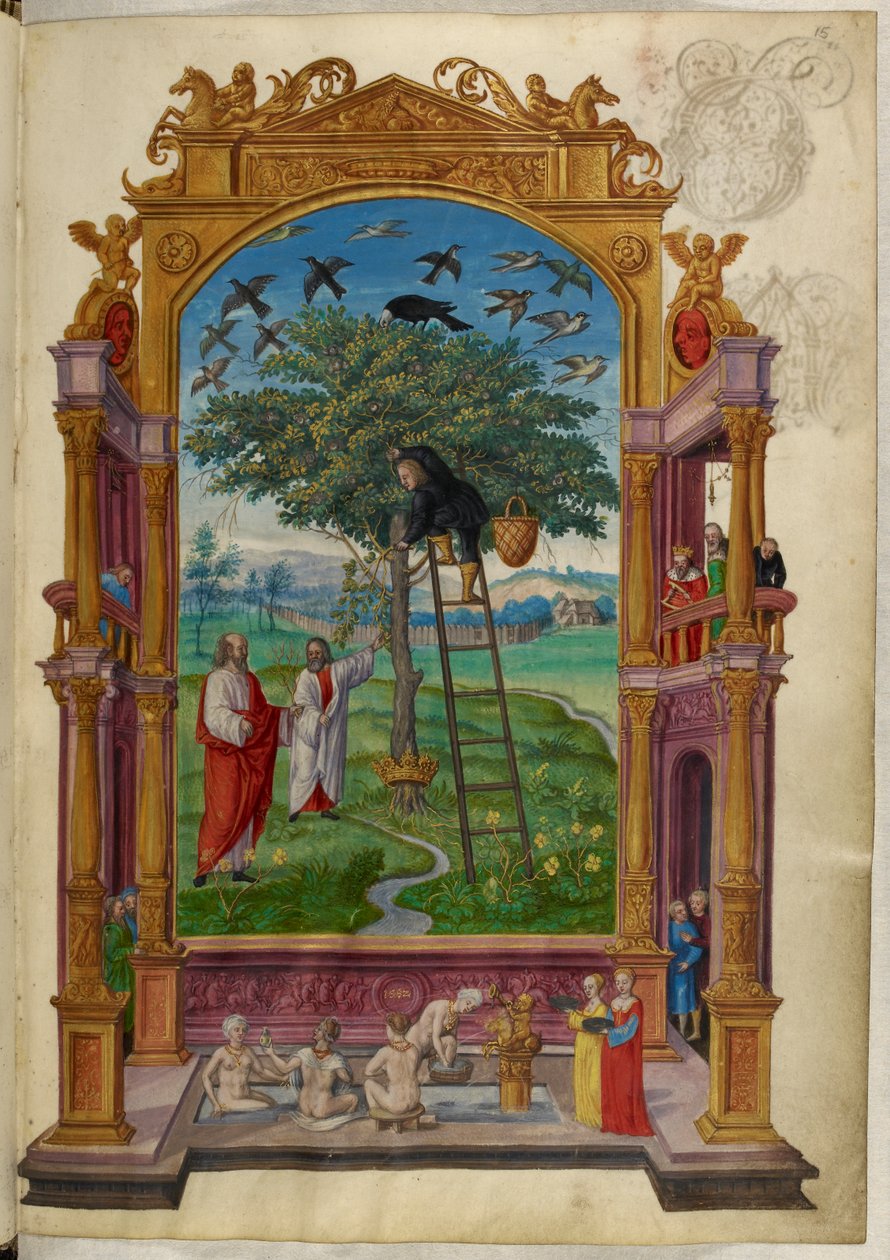 Ms Harley 3469, f.15 Złote drzewo z koroną, Inna przypowieść z „Splendor Solis” Salomona Trismosina autorstwa German School