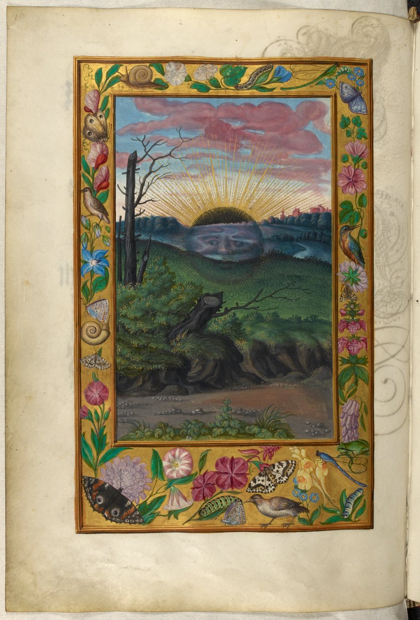 Ms Harley 3469, f.30v Mroczne słońce, piąty traktat, z „Splendor Solis” Salomona Trismosina autorstwa German School