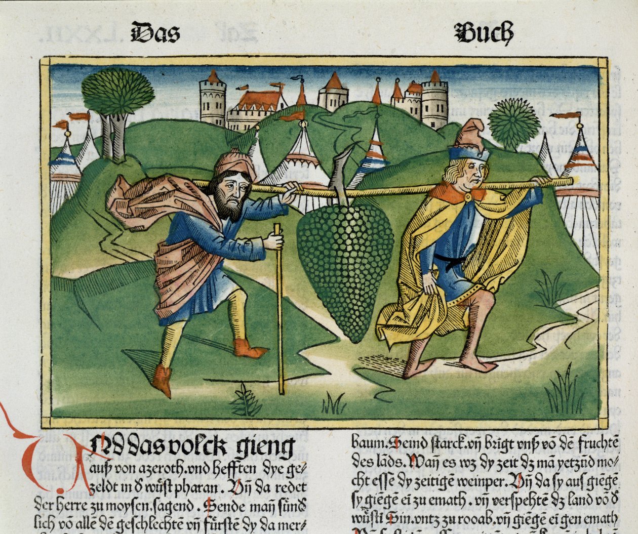 Liczb 13 23 Winogrona Eshcol, z Biblii Norymberskiej (Biblia Sacra Germanica) (kolorowy drzeworyt) autorstwa German School