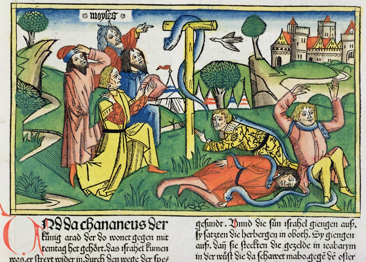 Liczb 21 4-9 Jadowite węże gryzą zbuntowanych Izraelitów, z Biblii Norymberskiej (Biblia Sacra Germanaica) (kolorowy drzeworyt) autorstwa German School