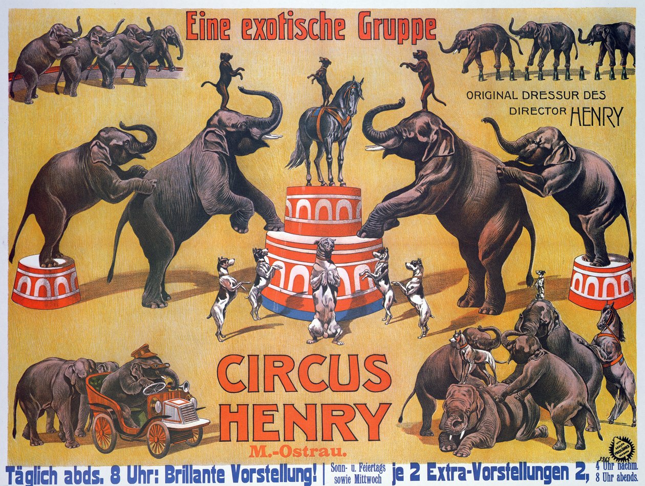 Plakat reklamujący „Cyrk Henryk” autorstwa German School