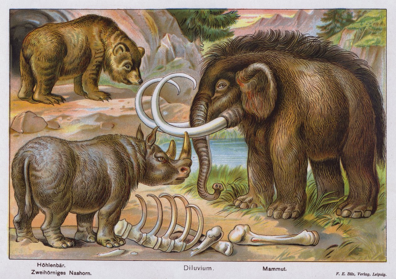Prehistoryczne ssaki (kolorowa litografia) autorstwa German School