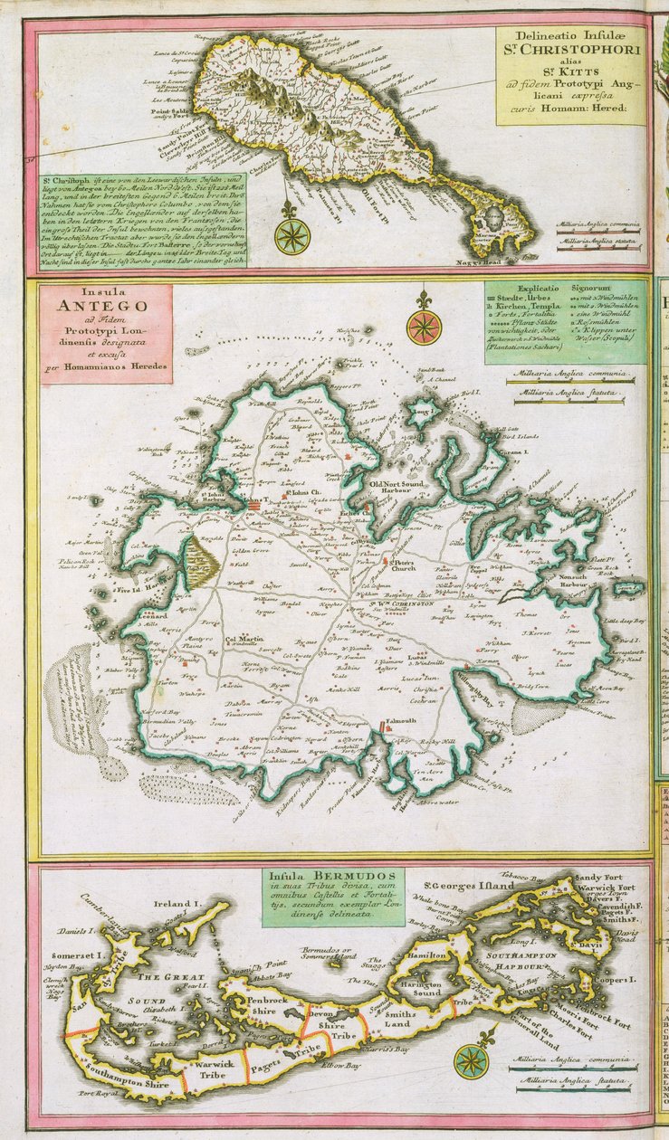 St. Kitts, Antigua i Bermudy, fragment mapy angielskich kolonii na Karaibach, wyd. przez spadkobierców Homanna, Norymburg, ok. 1750 autorstwa German School