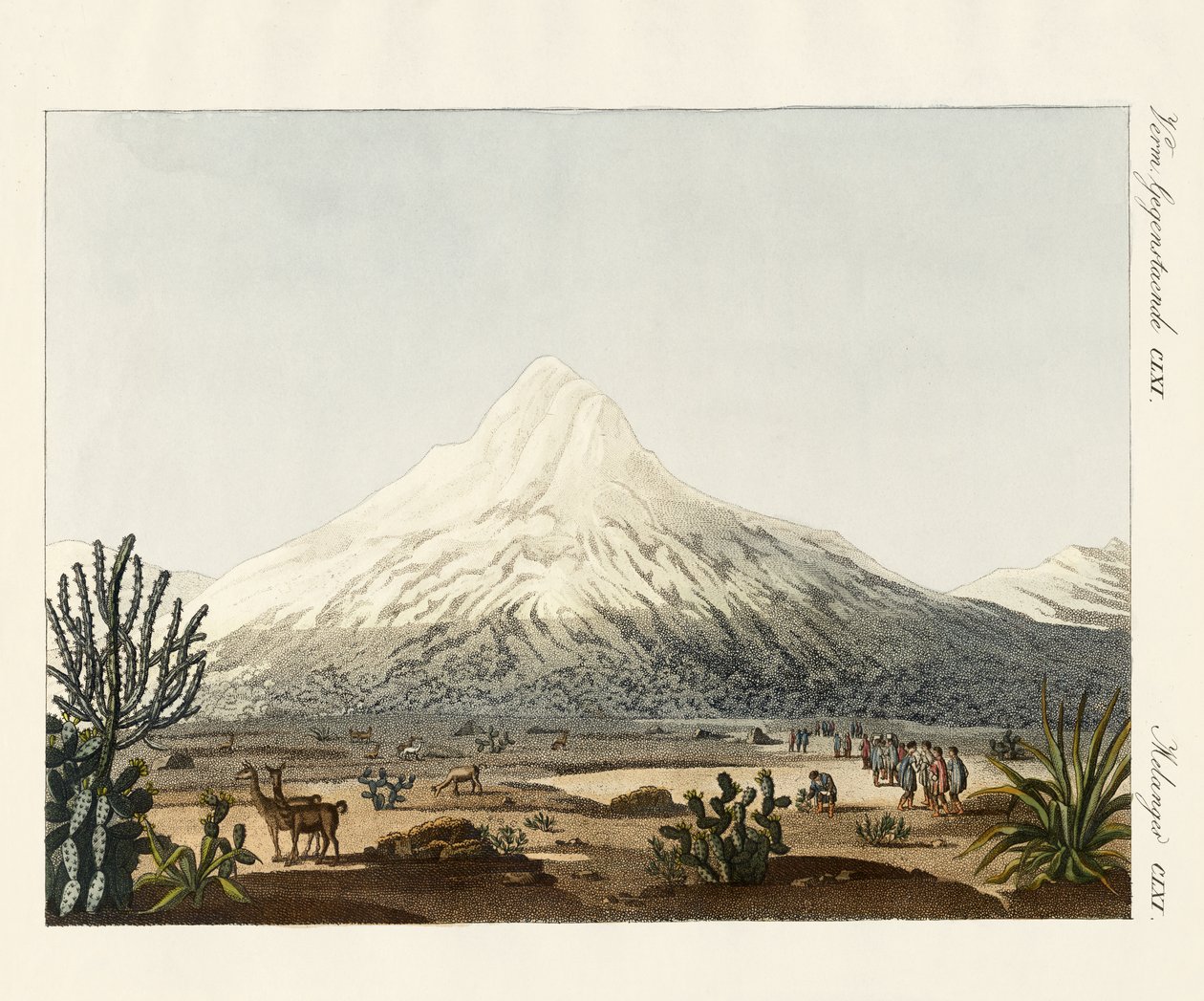 Chimborazo w Ameryce Południowej autorstwa German School