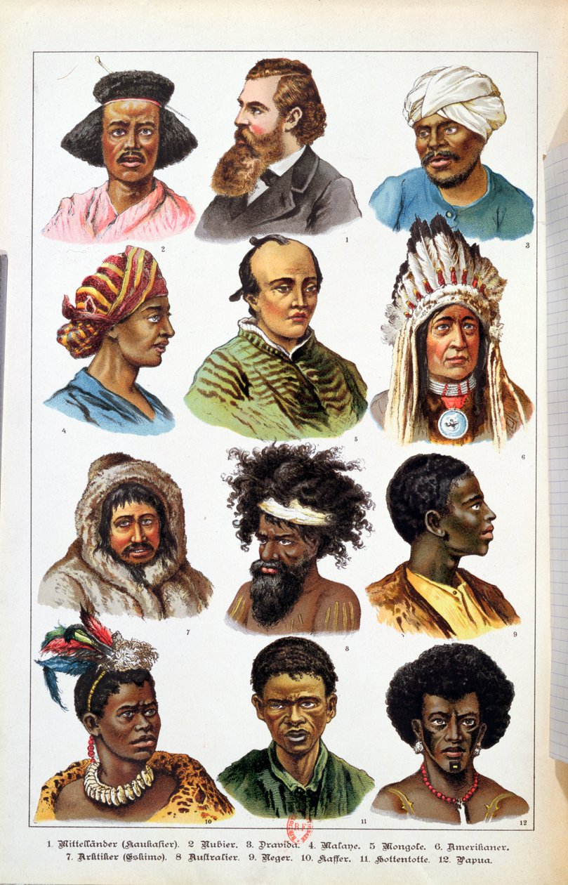 Różne rasy ludzkie, z Historii naturalnej królestwa zwierząt autorstwa Gotthelf Heinrich von Schubert (1780-1860), 1861 (kolorowe grawerowanie) autorstwa German School