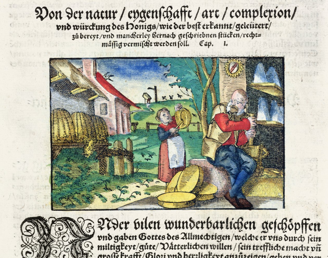 Lecznicze i lecznicze zastosowania miodu w medycynie, ilustracja z niemieckiego traktatu o lekach opublikowanego w Strasburgu w 1573 r. (kolorowy drzeworyt) autorstwa German School