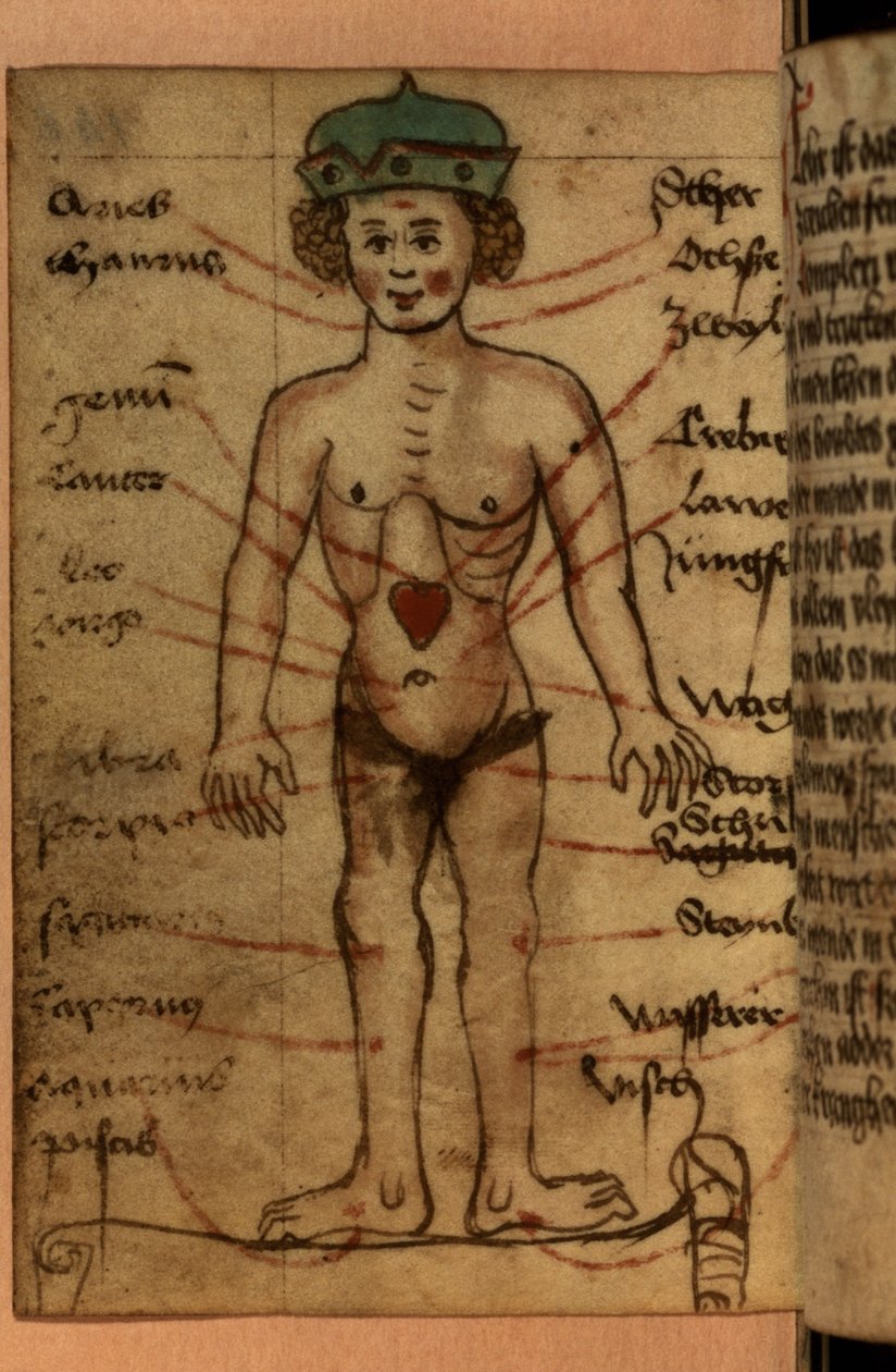 Diagram zodiaku przedstawiający pozycję serca, ze zbioru modlitw i postaci astrologicznych autorstwa German School