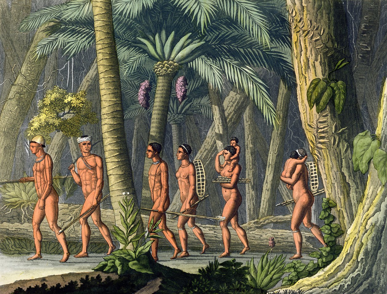 Rdzenni Amerykanie Puri Tribesmen w swoim lesie, z „Le Costume Ancien et Moderne”, tom I, płyta 46, autorstwa Julesa Ferrario, opublikowany ok. 1820-30 (rycina kolorowa) (patrz także 177058) autorstwa Gerolamo Fumagalli