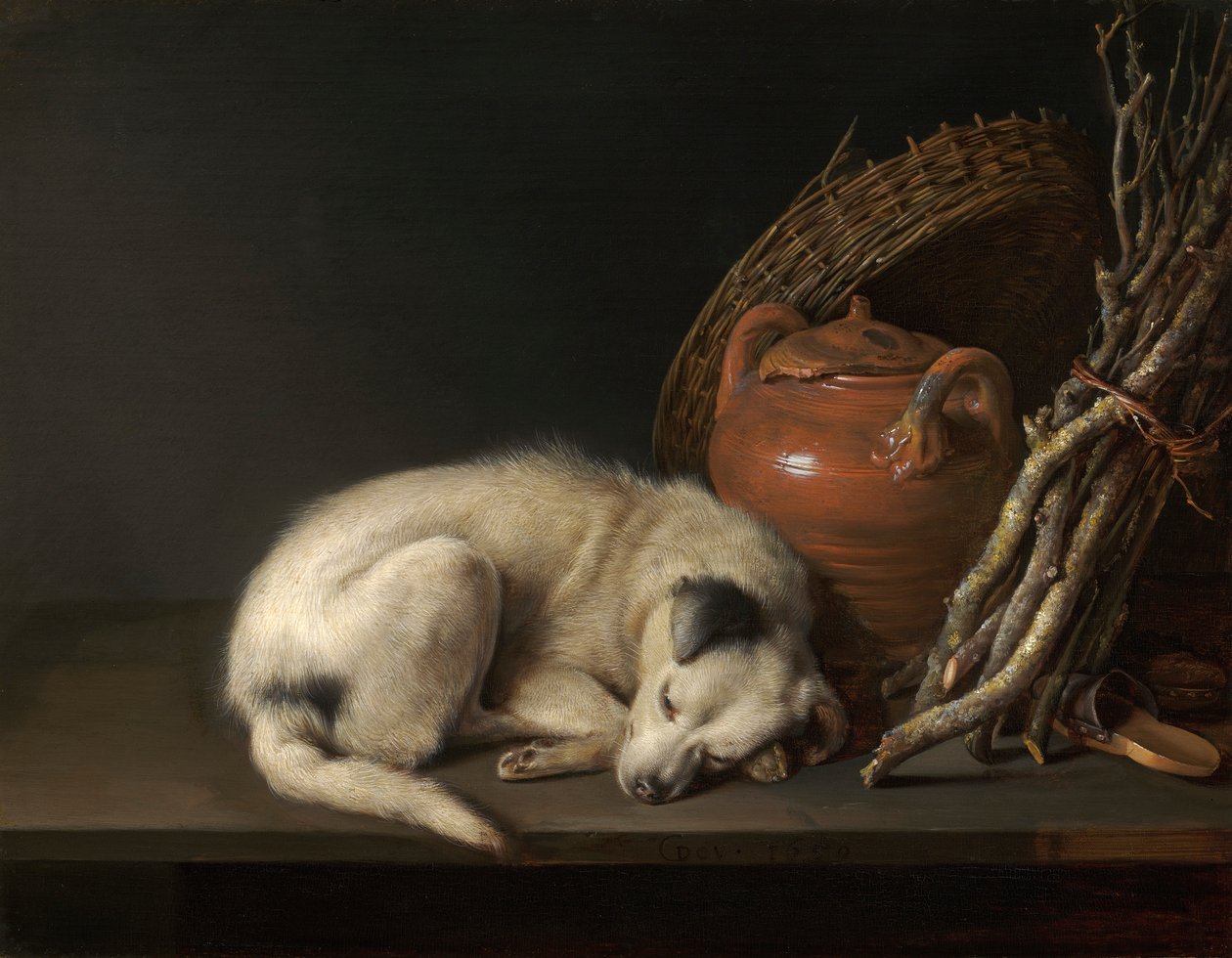 Śpiący pies autorstwa Gerrit Dou