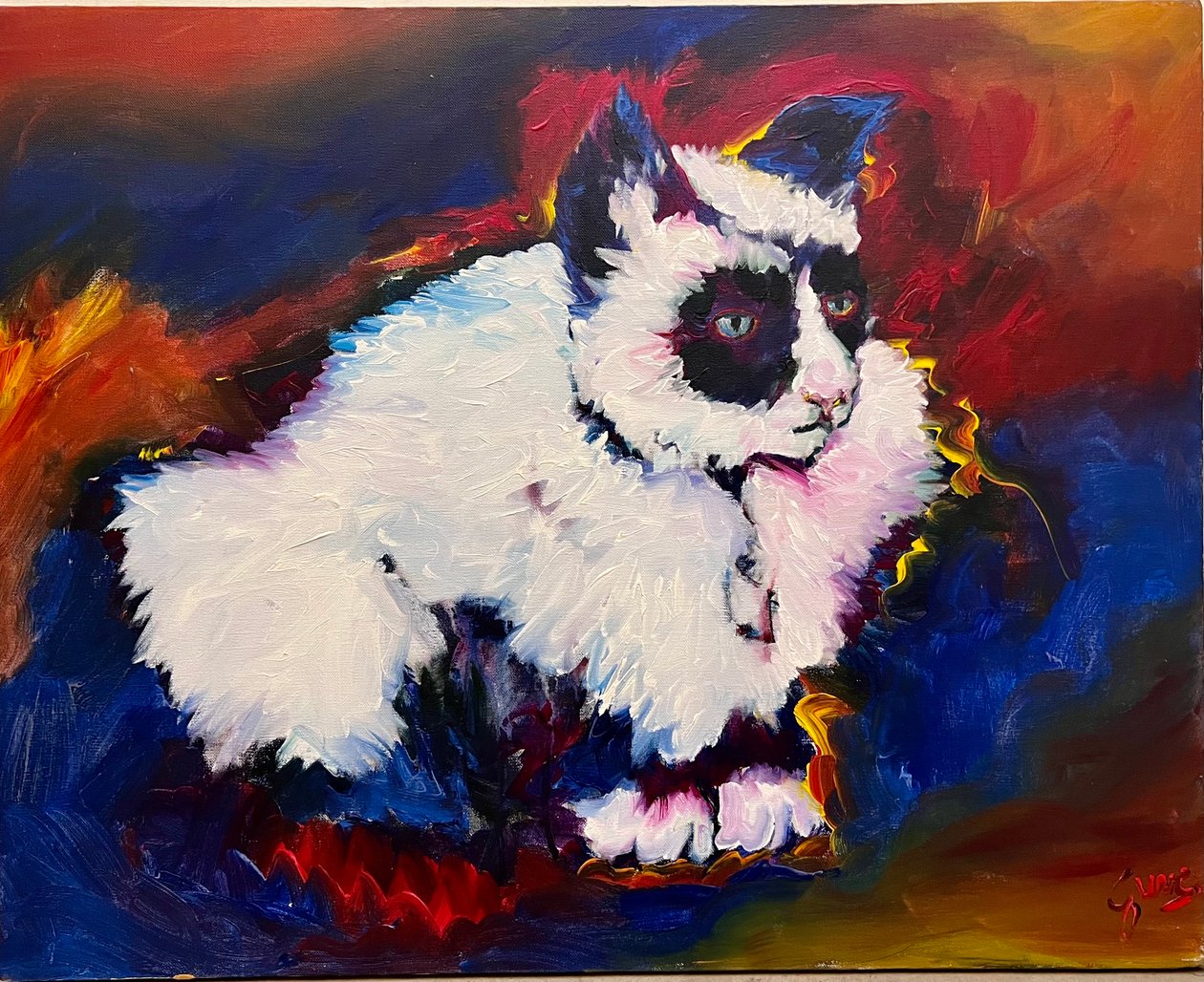 Kot Bungee autorstwa Gerrit Greve