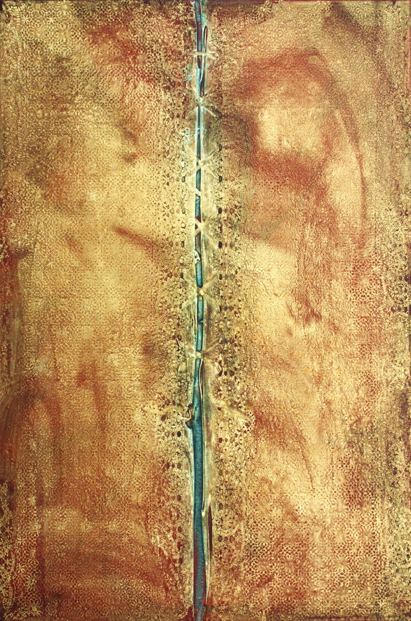 Journey 326, The Opening, 2010 (akryl na płótnie) autorstwa Gerrit Greve