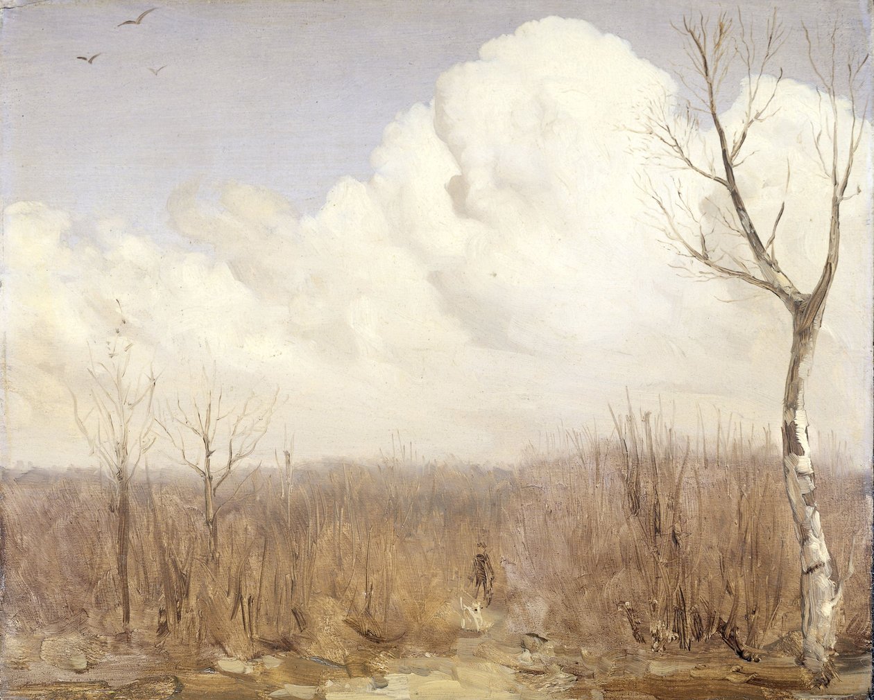  autorstwa Gerrit Willem Dijsselhof