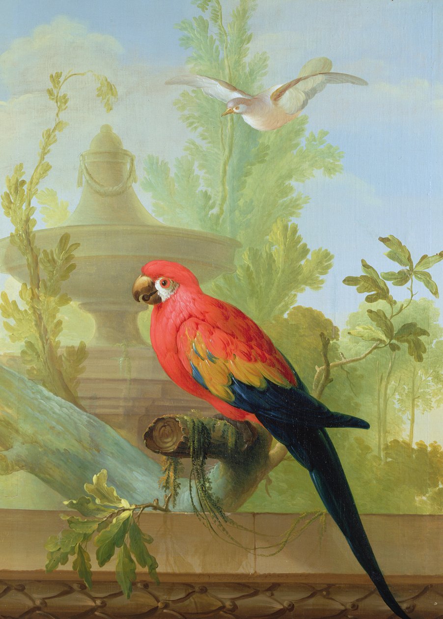 Ara i gołąb w ozdobnym ogrodzie, 1772 autorstwa Gerrit van den Heuvel