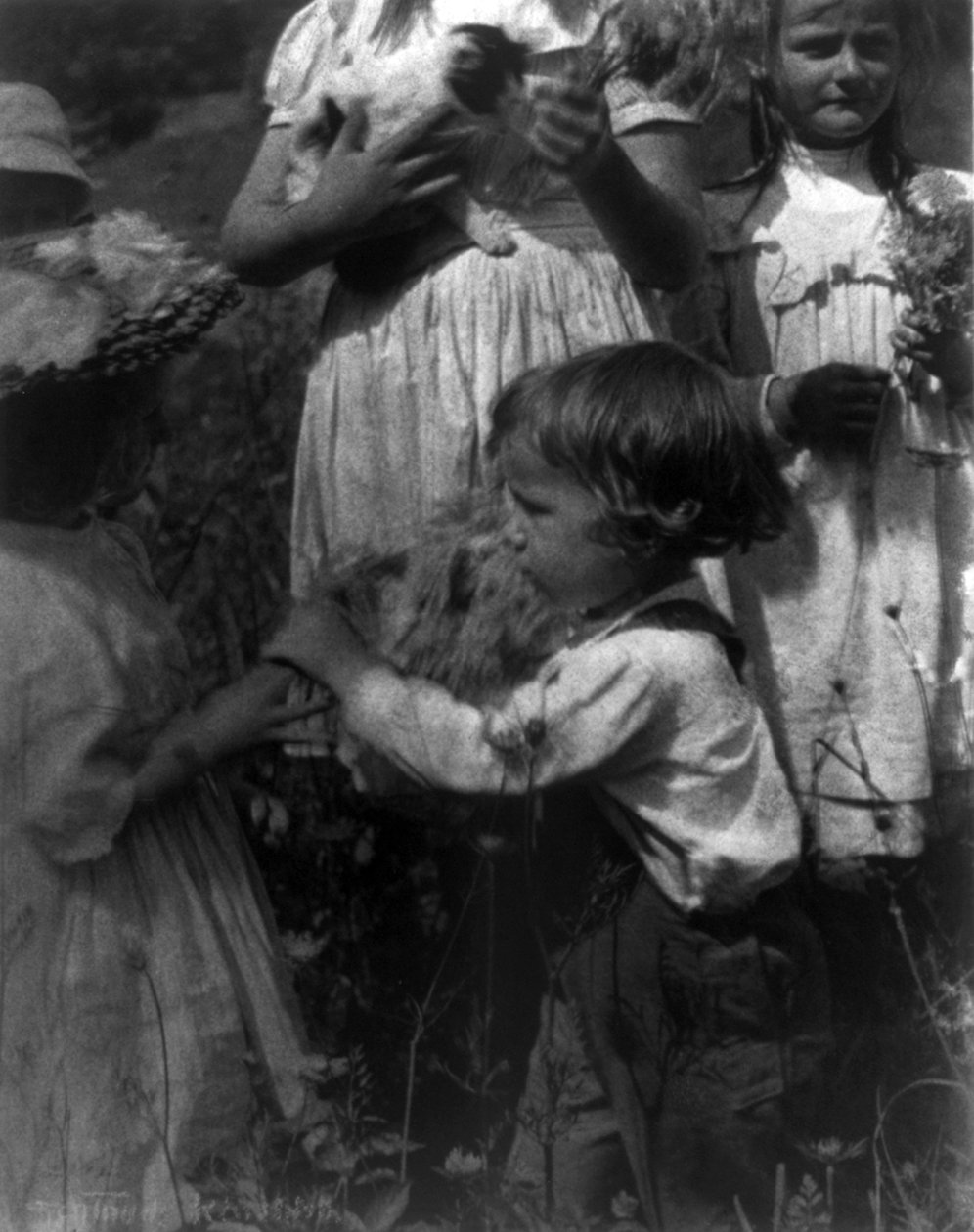 Szczęśliwe dni Gertrude Kasebier autorstwa Gertrude Käsebier