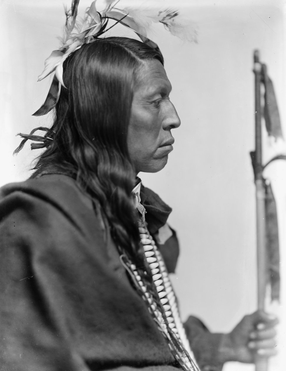 Wódz Siuksów Flying Hawk, ok. 1900 (zdjęcie czarno-białe) autorstwa Gertrude Käsebier