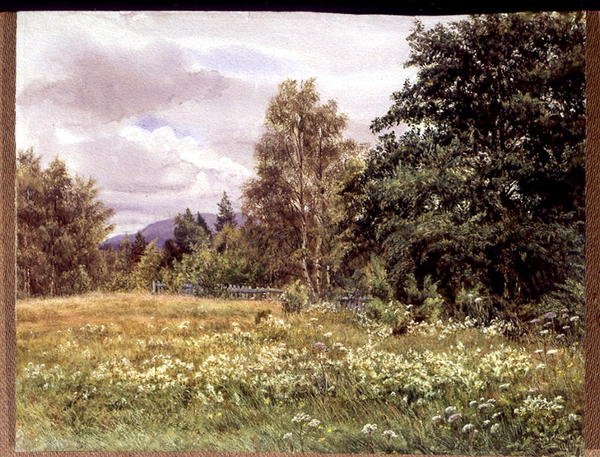 Łąka-słodka w pobliżu Polchar, Aviemore, Szkocja autorstwa Gertrude Martineau
