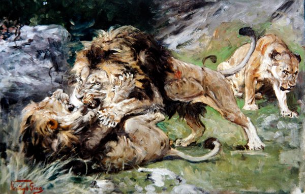 Barbary Lions Fighting, ok. 1890 (olej na płótnie) autorstwa Geza Vastagh