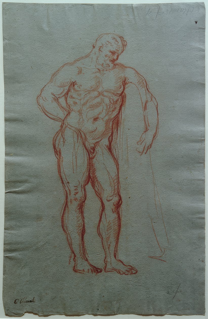 Studium według postaci Herkulesa Farnese autorstwa Giacinto Calandrucci