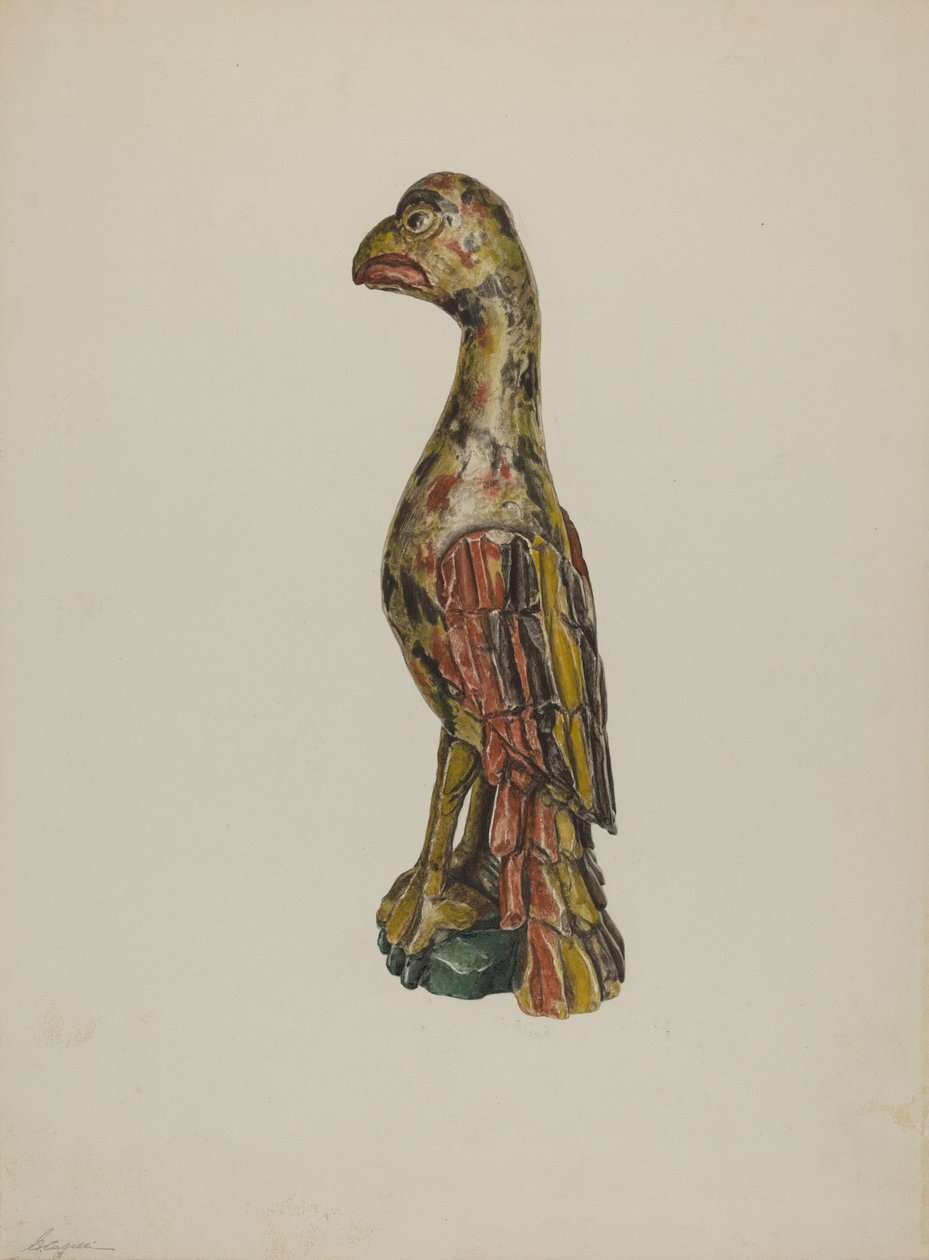 Pa. papuga niemiecka, ok. 1930 r. 1939. autorstwa Giacinto Capelli