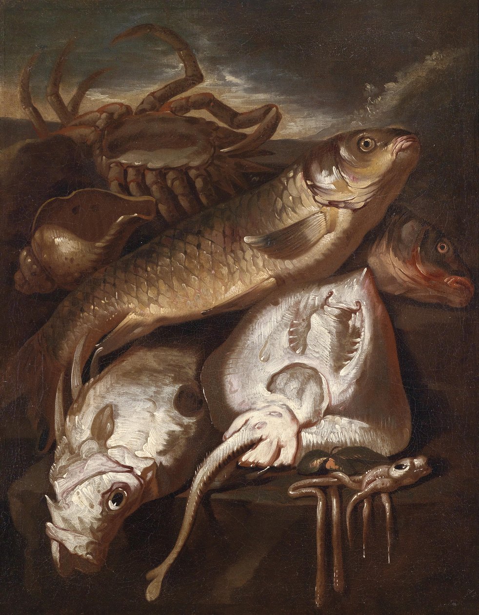 Ryba martwa natura autorstwa Giacomo Francesco Cipper